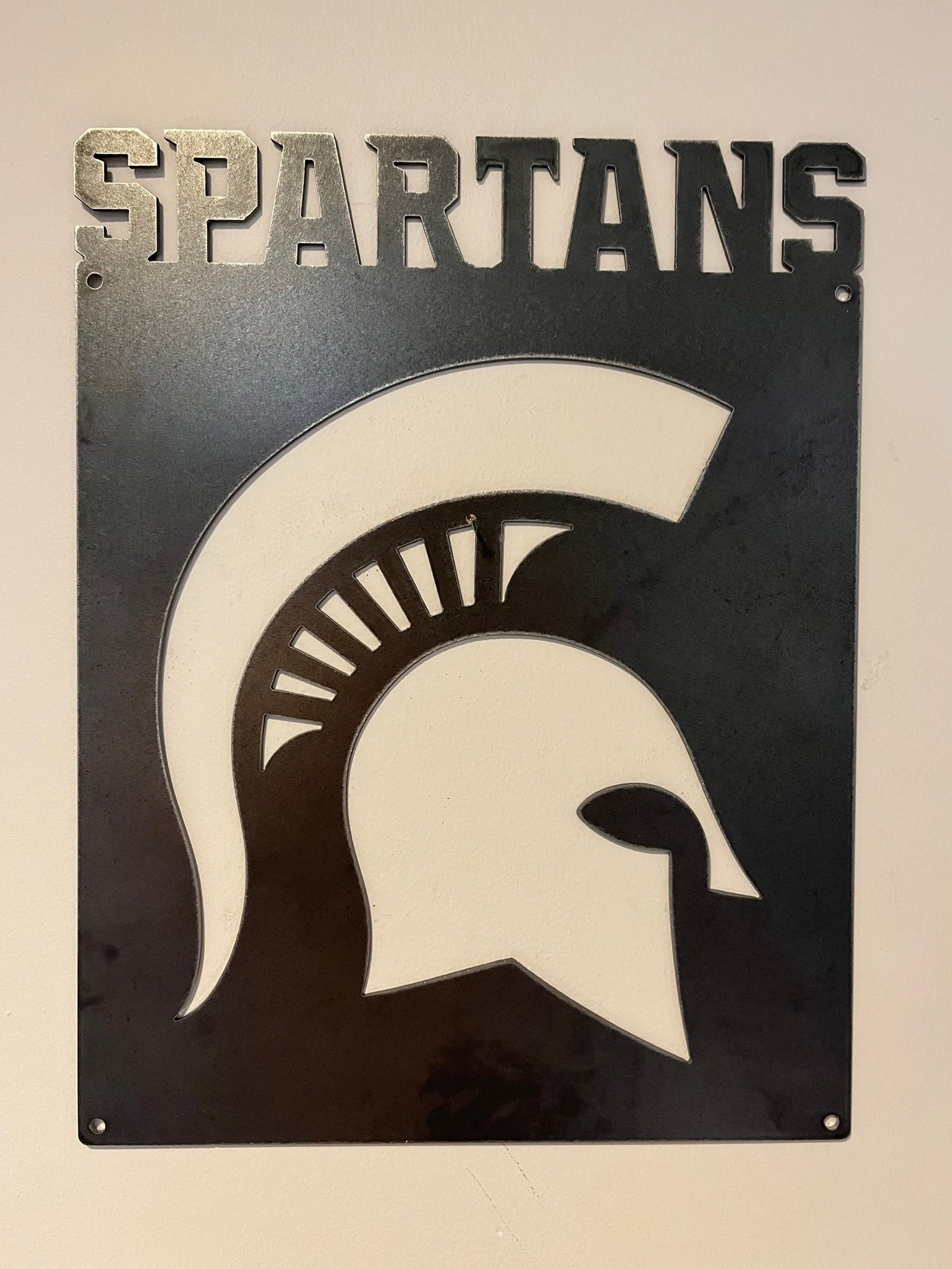 Michigan State Wall Sign